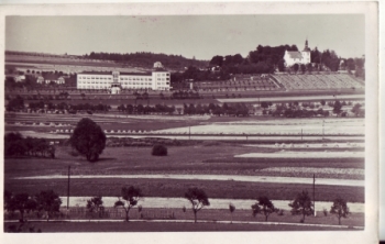 Hořice 1941 95 028 ●